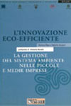 Il-Sole-24-Ore-L-innovazione-eco-efficiente1