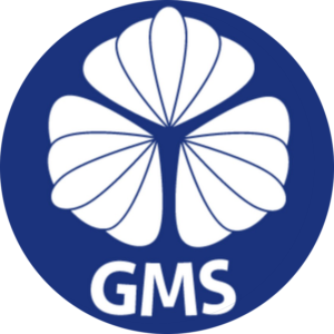 salus gruppo mantova.jpg